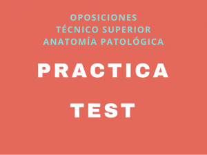 Practica test TSAP