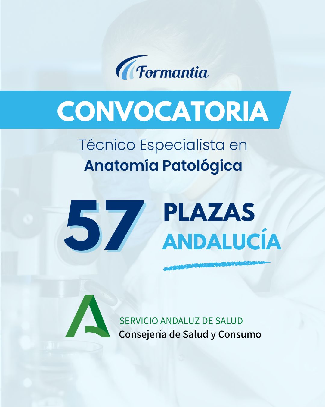 Oposiciones Formantia SAS