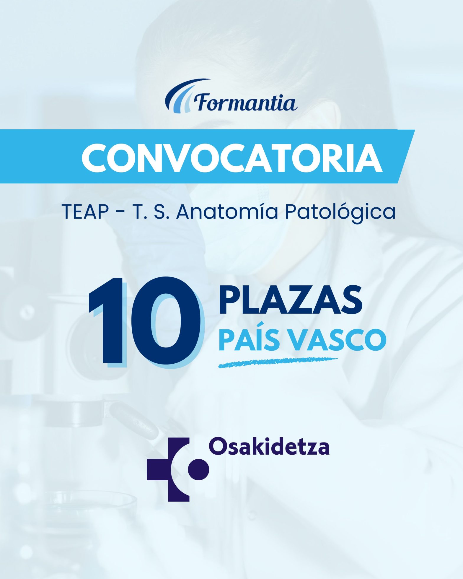 Oposiciones Formantia País Vasco