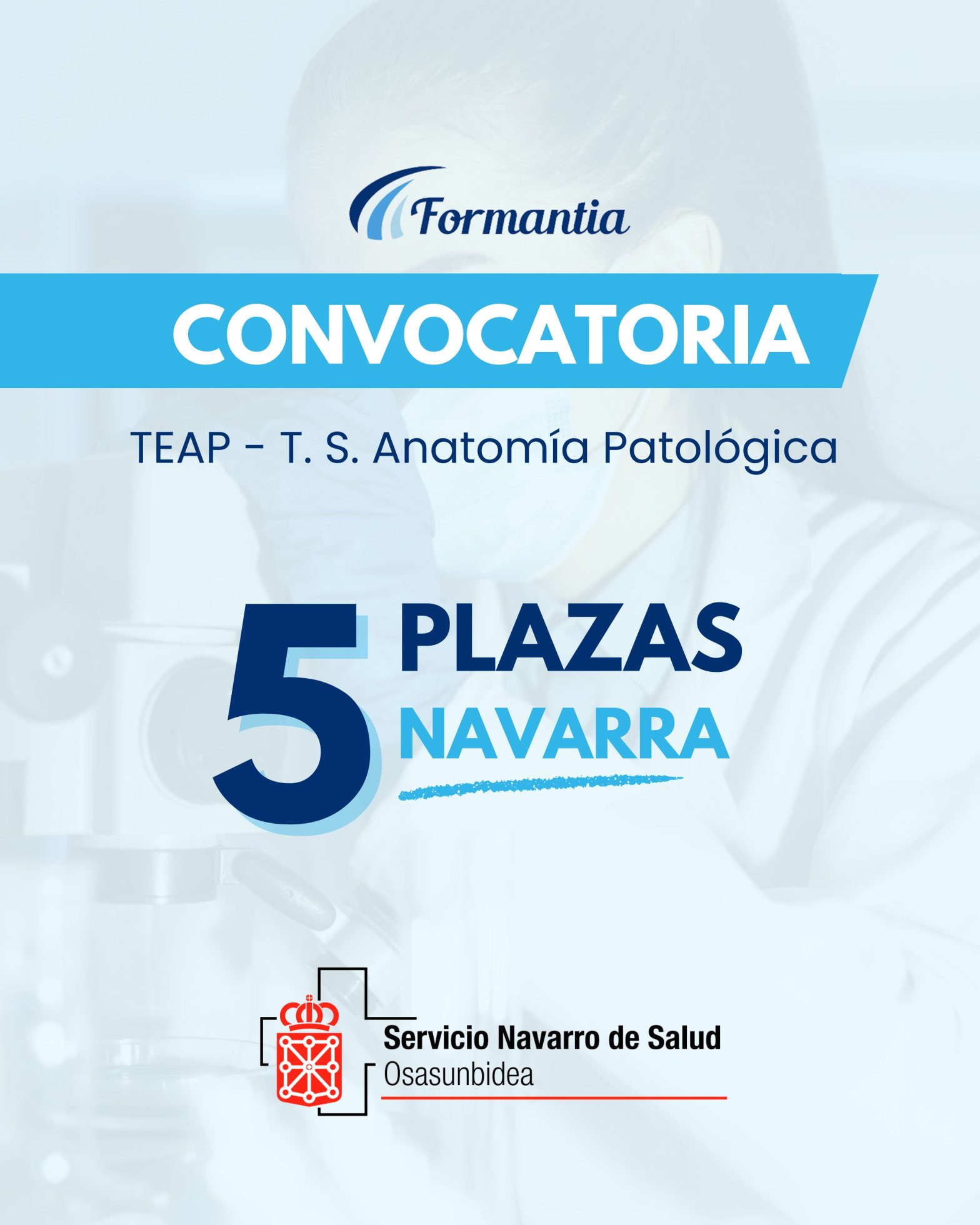 Oposiciones Formantia Navarra